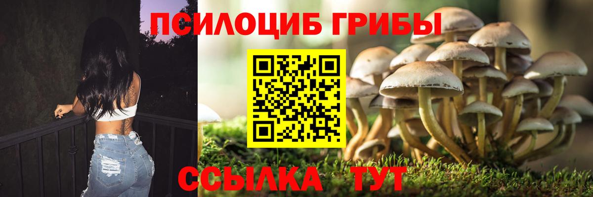 Галлюциногенные грибы мицелий  Вход с VPN  Псилоцибиновые грибы Psilocybine cubensis  Шахты 